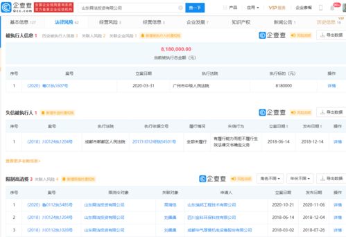 女子莫名成法院被執(zhí)行人,涉事企業(yè)有3條限制高消費(fèi)信息